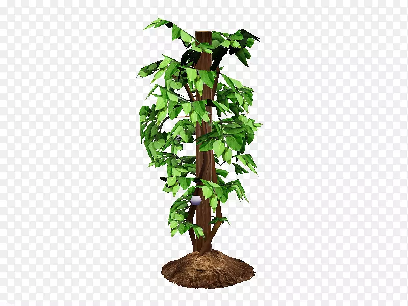 ���������������߲�-����-������