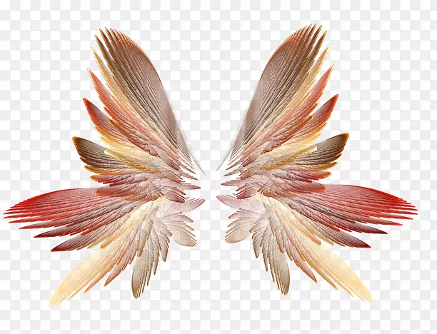 ���ؼ�����-������