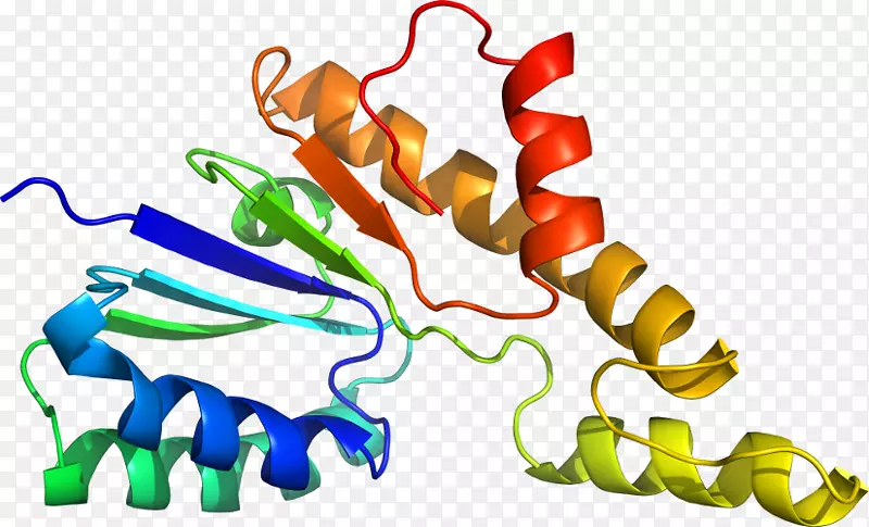 ���������л����߼�������-������