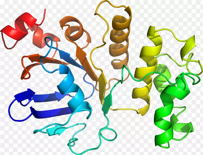 ���������л����߼�������-������