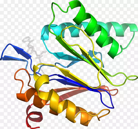 �����鱦�����߼�������-������