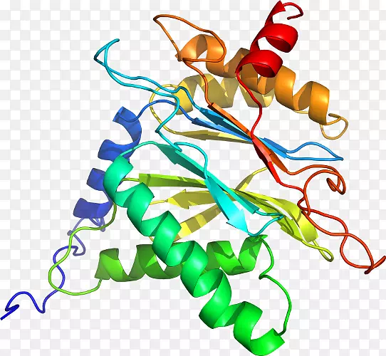 �����鱦���л����������-������