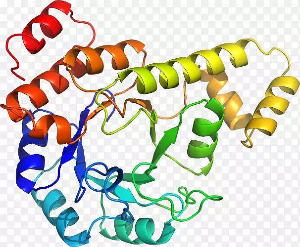 ���������л����߼�������-������