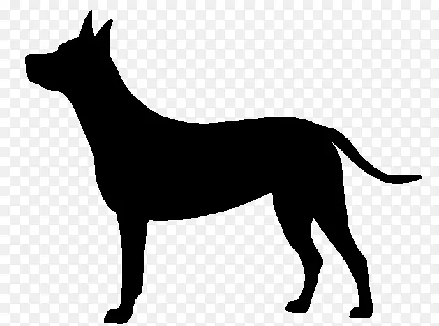 Ŧ����Ȯ����ͼ�����צ�Ӽ�����-������