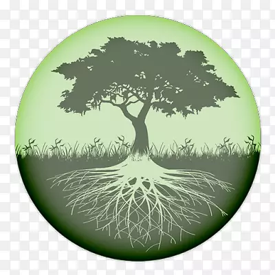 ����֮��-����-������