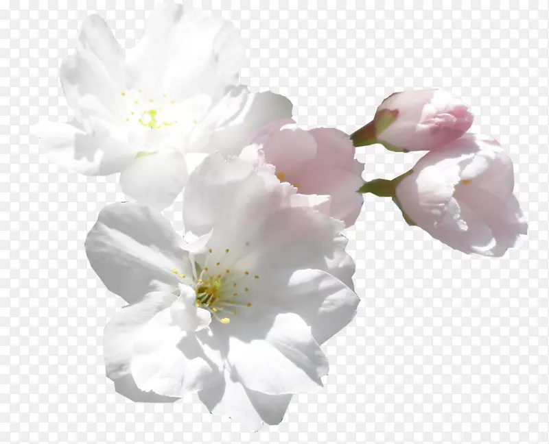 �л��׼�����-��-������