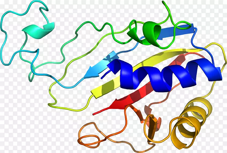 �ߵ������������-������