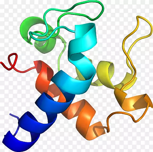 �����鱦������.���-������