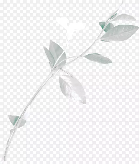 Ҷ-������