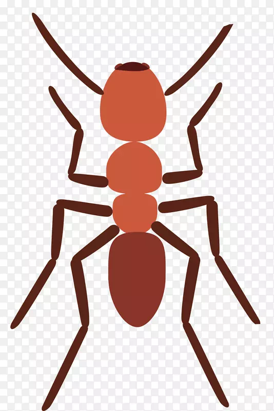 ��Ӱ��ͼ���-������