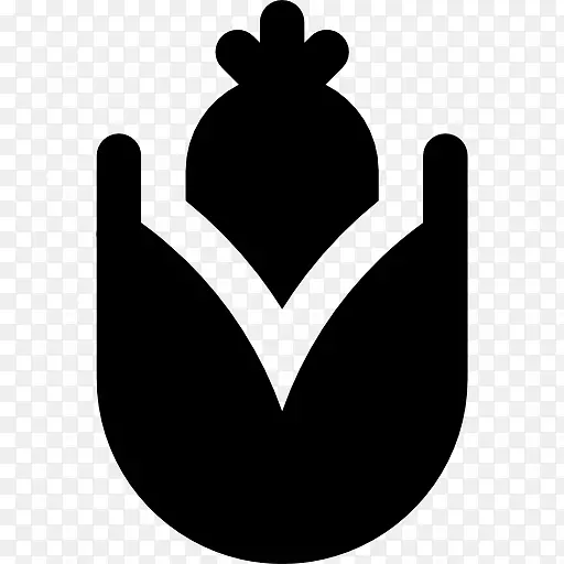 �л�ʳƷ����ʳ��ţ�̡���-ţ��-������