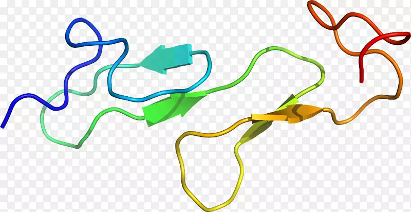 ֱ�ߵ�ֲ�ﾥ��������-������