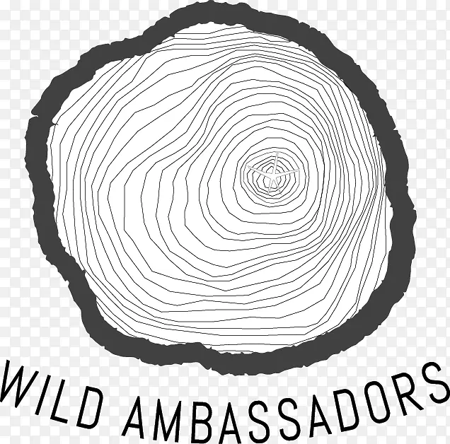 Բ���ɫ����-������