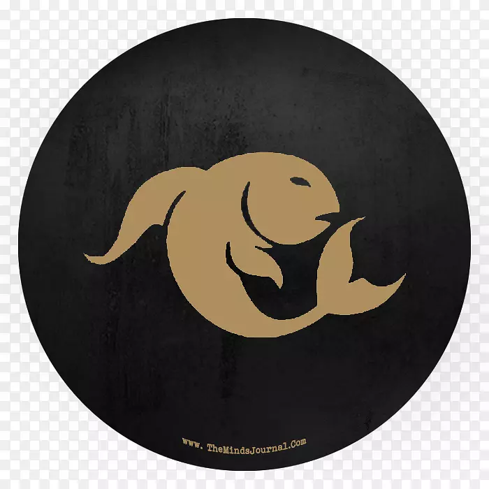 ����˫����ռ��������Ħ����˫����-������