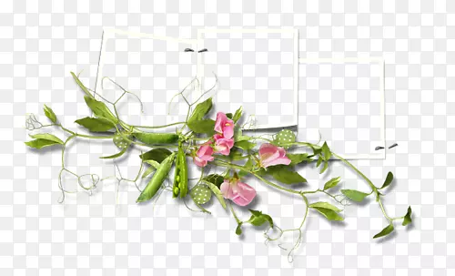 �������ƽ����Ʋ���-���-������