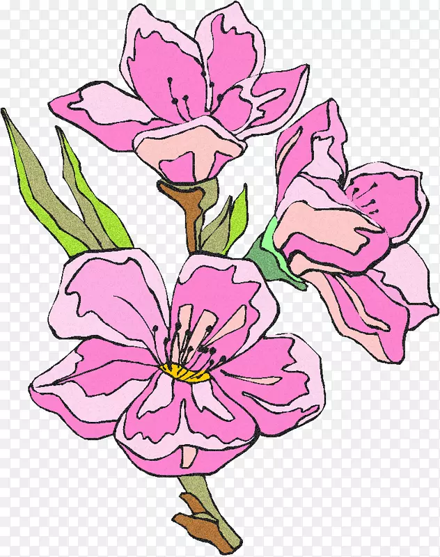 ��������л�����ֲ�ﾥ��-������