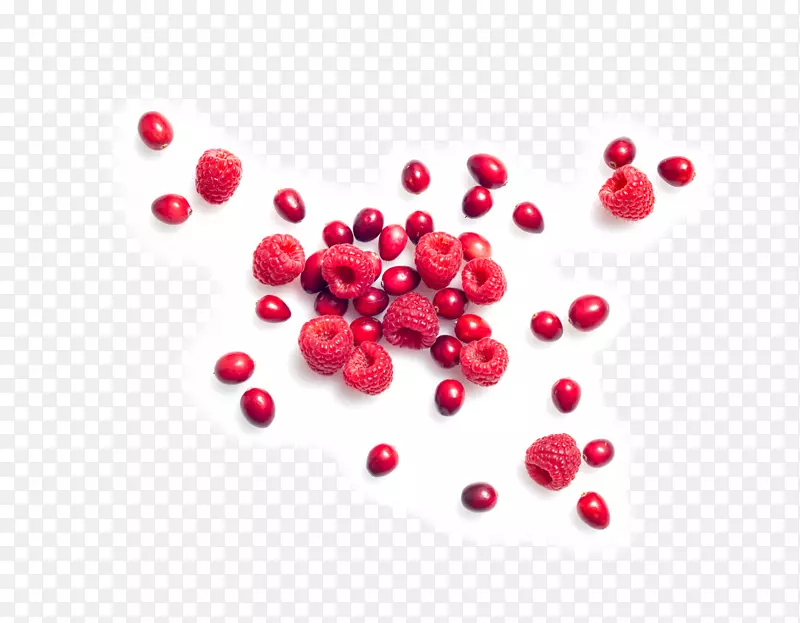 Խ�����ʳ����ݮ-��ݮ-������