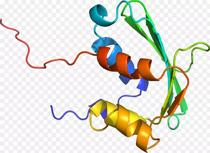 �ߵ������������-������