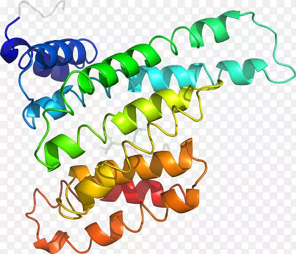 �����߶����������-������