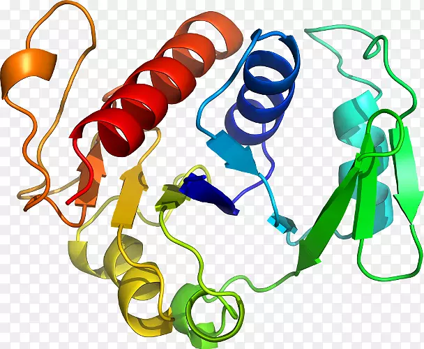 �����鱦���л����������-������