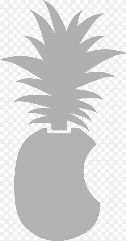 ����ɫ������-������