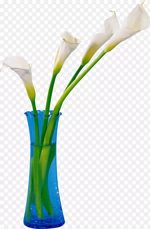 ��������л��ٺϻ�-������