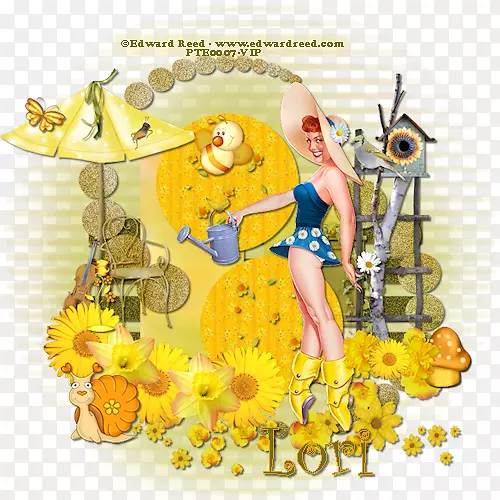 ʳ��-������