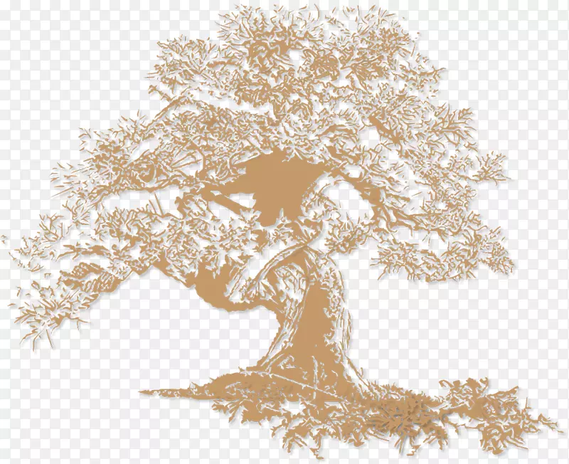 ��Ӱ��Ӧ��ҳ���ģ�岩����ʶ-������