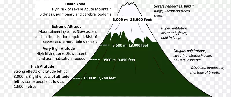 ֽ����������-������