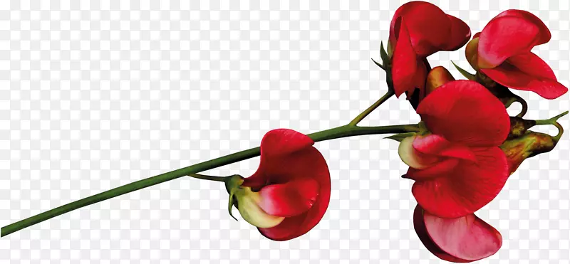 ���˽��������������-���˽�-������