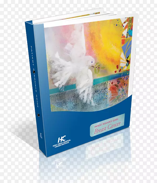 ��ý��-������