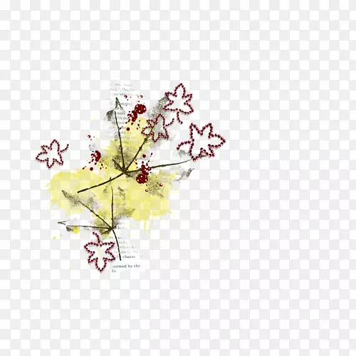 ��������ֲ������-������