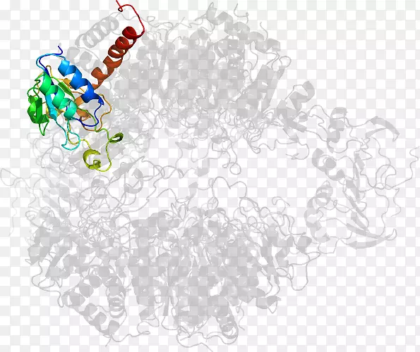 ��ľ������-��-������