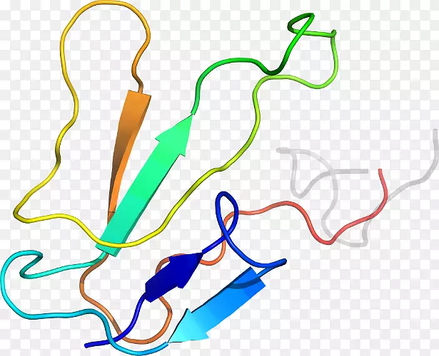 �ߵ������-��-������