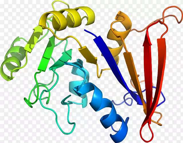 ���������л����߼�������-������