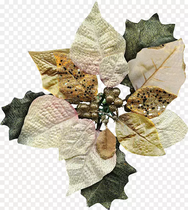 ʥ��װ����Ʒ�ɶ�-ʥ����-������