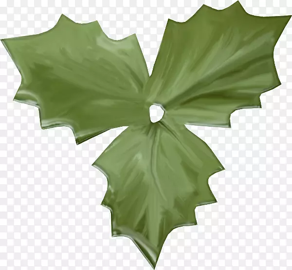 ʥ���廨����-ʥ����-������