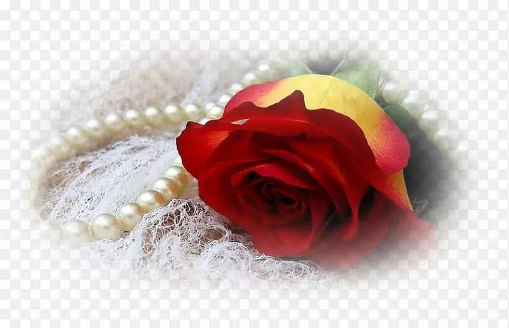 õ�岩����Ӱ-õ��-������