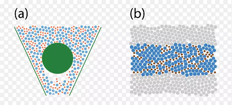 �ߵ�Ǽ���Ʒ����-������