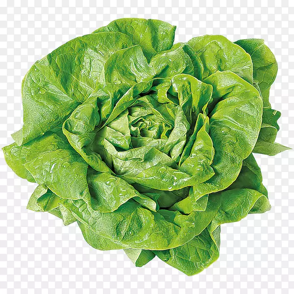 ëͷ���ˡ��߲�ʳƷ-�߲�-������