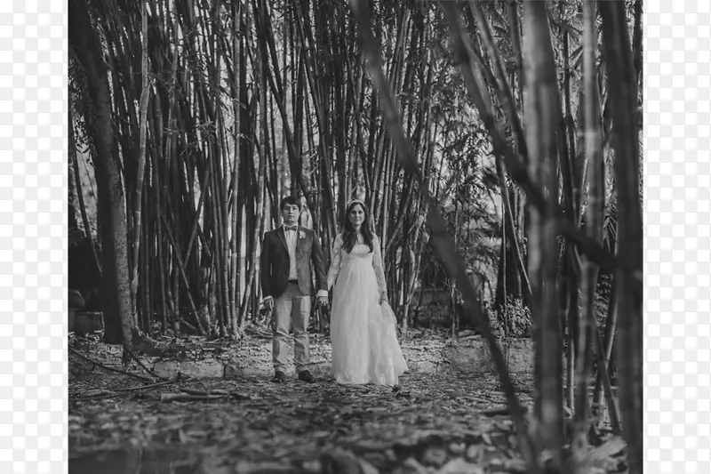 ������Ӱ��ɫ-������