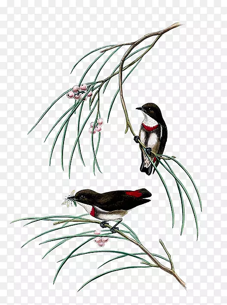 �Ĵ����ǵ��񣬹��ʻ�-��-������