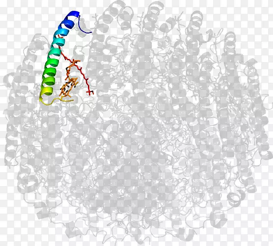 ������-������