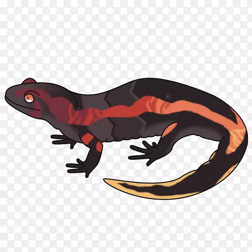 �������������ж���-����-������