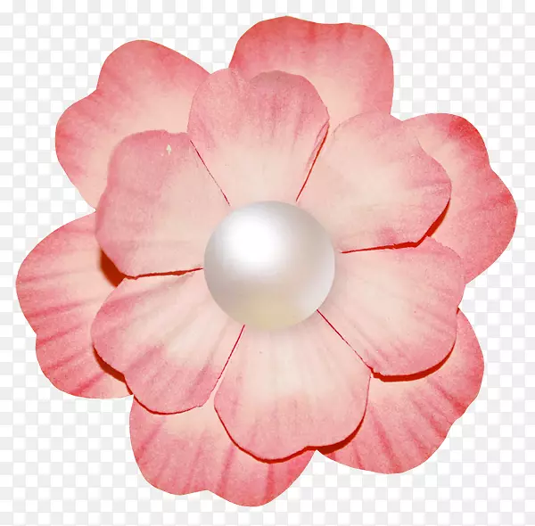 �������ͼ�����-������