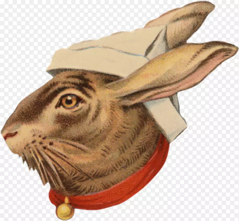 �ñ�-����-������