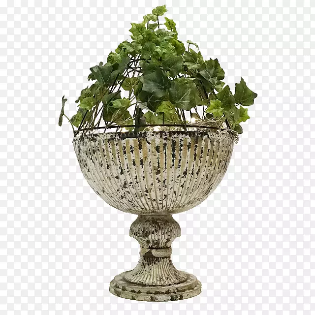 ����ƿ-��-������