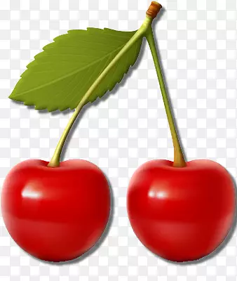 ӣ���ɼ�����-ӣ��-������