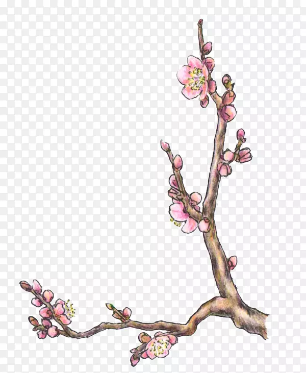 ӣ������.150����v.unc.nr�Ϳ���ֲ��-ӣ��-������