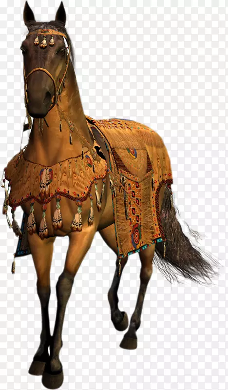 ��������Ұ������-Ұ��-������